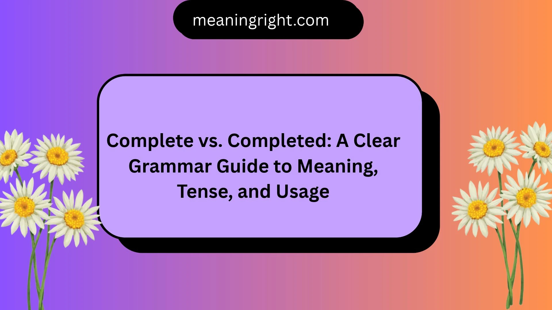 Complete vs. Completed: A Clear Grammar Guide to Meaning, Tense, and Usage