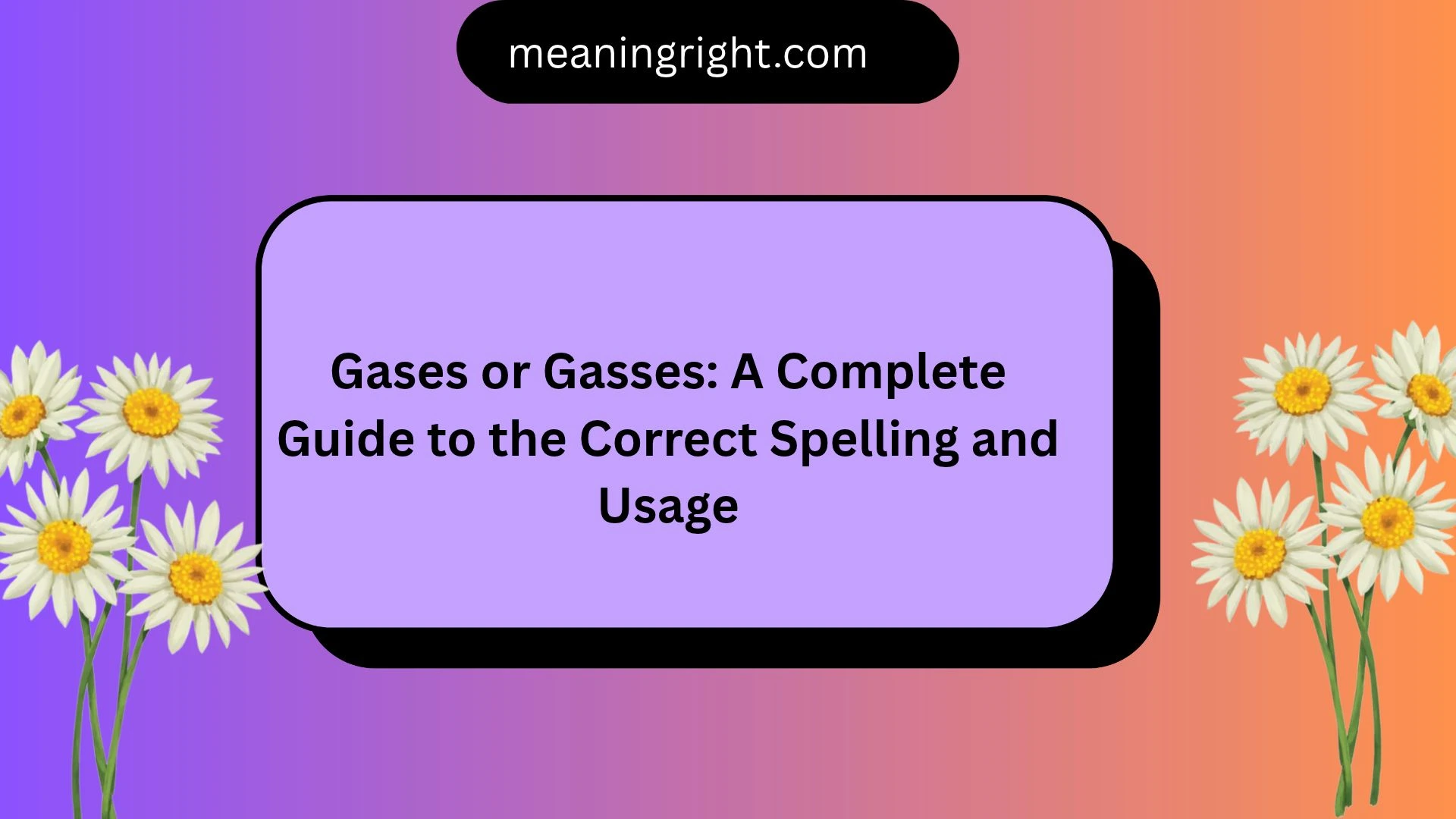 Gases or Gasses: A Complete Guide to the Correct Spelling and Usage